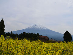 白糸自然公園&白糸の滝 2017.04.17