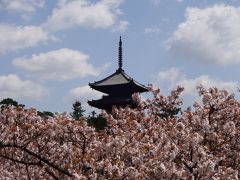 仁和寺・龍安寺・等持院・平野神社