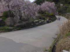  能登◆羽咋市千路町『古永建設庭園』◆2017/０4/23