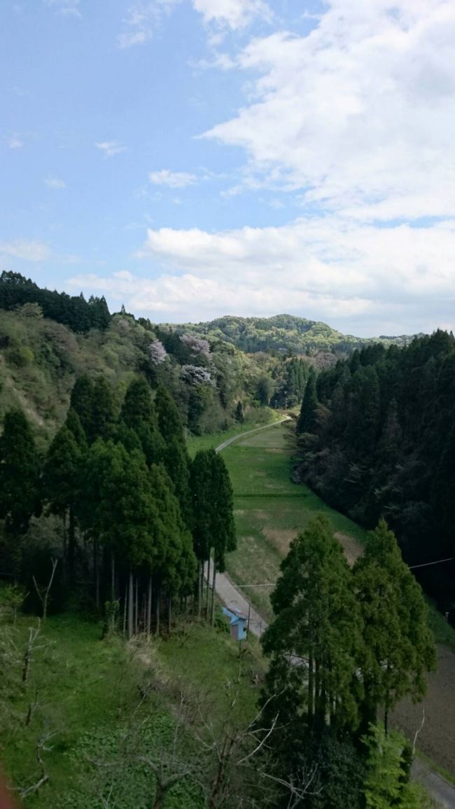 TV放送で桜と菜の花と緑の景色が見ることが出来るトロッコの放送で<br />行って見たいねと放送中にトロッコ予約をしようとしたらアクセス集中で後ほど状態だったので<br />桜も終わり菜の花も散りかけてる昨日乗る事が出来ました。<br />ツアーも探したのですが無くて自力で時刻表とにらめっこして予定を立てて出発ぅ～