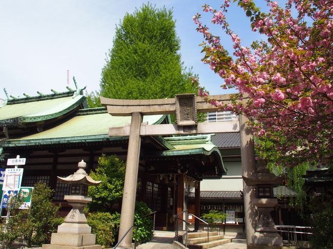 名古屋市中区、中村区の神社仏閣の御朱印めぐりをしました<br />まだ御朱印をいただいていない神社仏閣をまわってみました<br />御朱印がないところもありましたが10種の御朱印が集まりました<br />名古屋総鎮守の若宮八幡社は以前御朱印いただいたので今回は立ち寄りませんでした<br />半日で、伏見駅から約4ｋｍ徒歩、市バス（洲崎神社から若宮）、地下鉄（八田から伏見、上前津から栄、栄から八田）利用し、ドニチエコきっぷ600円で周ってみました<br /><br />泥江縣神社(ひじえあがたじんじゃ)<br />御朱印あるようですがいただいてません　名古屋市中区錦1-7-29 <br />御祭神：応神天皇・神功皇后・三女神<br />創建：清和天皇の貞観元年(859)に、豊前国宇佐（大分県宇佐市）の八幡宮の分霊として勧請(名古屋市教育委員会)<br /><br />白龍神社<br />御朱印1枚　名古屋市中村区名駅南一丁目8番14号<br />御祭神：高おかみ神(たかおかみのかみ)<br />須佐之男命(すさのおのみこと)<br />創建：慶長八年(西暦1603年)<br /><br />洲崎神社<br />御朱印1枚　名古屋市中区栄1<br />御祭神：素戔鳴尊（すさのをのみこと）<br />　　　　　　　　五男三女神<br />　　　　　　　　稲田姫命（いなだひめのみこと）<br />「広井天王」や「牛頭天王」とも呼ばれ、江戸時代、洲崎の天王祭は東照宮時代祭と並ぶ２大祭であった。<br />洲崎神社のはじまりは、太古この地は入り江で洲崎になりこのところに地神(くにつかみ・「石神」）が祀られており同神の導きにより、平安時代初期に素戔鳴尊が奉祀され、「広井天王」または「牛頭天王（ごずてんのう）」と呼ばれていた。境内も広く椋(むく)・榎が密生し椋の森ともよばれ、その創建は貞観年中で名古屋城築城前からの御鎮座であった。(パンフレットより)<br /><br />政秀寺<br />御朱印ないようです　愛知県名古屋市中区栄3丁目34-23<br />臨済宗妙心寺派の寺院、瑞雲山と号す。<br />天文２２年（１５５３）、織田信長が、自分の素行不良をなげいて諌死した平手政秀の菩堤を弔うため、小牧山の南、政秀の領地小木村に創建し、沢彦和尚を開山とした。<br />寺は天正１２年（１５８４）、小牧・長久手の戦いで焼失。その翌年清須に再興され、慶長１５年（１６１０）清須越で現在地に移設された。<br />本尊は木造十一面観世音菩薩坐像である。政秀の墓はかつて本寺にあったが、今は名古屋市の平和公園内政秀寺墓地に移されている。(ＨＰより)<br /><br />三輪神社<br />御朱印2枚(8日は特別朱印あり、2017.5/8は大神神社参拝のため朱印不可)　名古屋市中区大須3-9-32<br />御祭神：大物主神、徳川義宜公<br />元亀年間(1570～1572)奈良桜井三輪町から小林城(現在の矢場町交差点辺り)に移った牧若狭守長清が深く崇敬する生まれ故郷大和三輪山に大物主神（大国主神・大黒様）を鎮め祭ったと伝えられています<br />寛文8年(1668)尾張徳川家が京都の蓮華王院(三十三間堂)で威信をかけて競った通し矢の修練場(三十三間堂を模した長廊)矢場が当神社の境内に造られこの界隈を「矢場町」と呼ぶのも、ここに矢場があったことに由来します。<br />徳川時代には尾張八代藩主宗勝公を始め歴代藩主の崇敬が厚く供御米五斗(およそ九十リットル)が奉献され、明治時代になり尾張藩十六代藩主義宜公(1864年～1871年)が合祀される。(ＨＰより)<br /><br /><br />万松寺<br />御朱印6枚　名古屋市中区大須3丁目29-12<br />宗派：曹洞宗系の単立寺院<br />万松寺は470年以上の歴史を持つ寺院です。<br />天文九年(１５４０年)尾張一円を領していた古渡城主、織田備後守信秀公(織田信長の父)が、織田家の菩提寺として開基しました。<br />御本尊は十一面観世音菩薩。<br />開山は信秀公の伯父の大雲永瑞大和尚。正式の寺号は亀嶽林(山)萬松寺。<br />(ＨＰより)<br /><br /><br />春日神社<br />御朱印なし　名古屋市中区大須3丁目46-34<br />御祭神：武みかづちの命、経津主命(ふつぬしのみこと)、天児屋根命(あめのこやねのみこと)、比売神<br />創建：天暦2年<br /><br />朝日神社<br />御朱印あり今回は時間外のためもらえず　名古屋市中区錦三丁目22番21号<br />御祭神：天照皇大神、天児屋根命 <br />創建：慶長16年清洲より現在地に移築遷座<br />豊臣秀吉公の妹君であり、徳川家康公の正室、朝日姫様の氏神様<br />