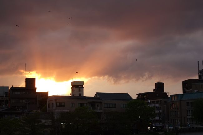 20170424-1 京都 夕方の散歩は、出町界隈 → 京都大学 → 吉田神社