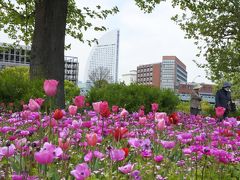 横浜花散歩