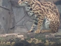 ホーチミンで動物園&#128049;