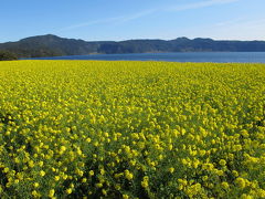 鹿児島ドライブ＆温泉３泊４日　指宿、知覧、妙見温泉