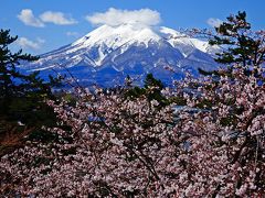 圧巻！！弘前公園のさくらまつり ◇ お城と桜と岩木山の見事なコラボ♪