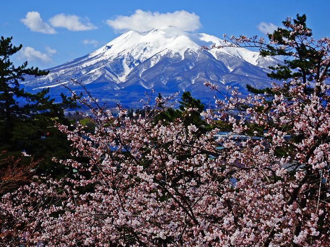 今年の４月は，３週連続で“花見旅”をして，存分に日本の桜を堪能できました<br />弘前で，今年の桜の見納めです<br /><br />【行程】<br />◇０日目…羽田から空路JAL最終便で青森市内へ<br />◇１日目…日中，青森市内散策（棟方志功記念館，桜川団地，ねぶたの家ワ・ラッセ，青函連絡船メモリアルシップ八甲田丸，津軽海峡冬景色歌謡碑），夕方，列車で弘前へ，ホテルにチェックイン後，弘前城の夜桜ライトアップ<br />◆２日目…午前中，黒石市内街歩き，午後，弘前公園さくらまつり<br /><br />【２０１７年４月の３週連続花見旅】<br />◇１週目…奈良県・飛鳥と『吉野千本桜』→http://4travel.jp/travelogue/11231799<br />◇２週目…岐阜県・『華厳寺』と『根尾谷の淡墨桜』→http://4travel.jp/travelogue/11233364<br />◇３週目…青森県・青森市内『桜川団地』→http://4travel.jp/travelogue/11235328<br />◇青森県・弘前市，黒石市『弘前城のライトアップ』→http://4travel.jp/travelogue/11235566<br />◆青森県・弘前市『弘前さくらまつり』→http://4travel.jp/travelogue/11235567