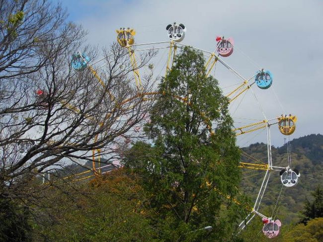 神戸市立王子動物園に、数年ぶりに友人と、訪ねてみました。<br />桜の花の名所でもありますが、その季節をちょっと過ぎてしまいましたが・・<br />久しぶりの動物たち。入り口でもらえる、餌やりタイムのスケジュール表を片手に園内を回りたかったのですが、思うようにはいかなかったのがちょっと残念。<br /><br />兵庫県立美術館にも興味があって、足を伸ばしてみました。