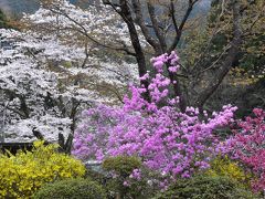 東秩父白石　花の里山散歩 2017（埼玉）