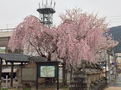 ♪春風に誘われ羽田～高松（香川県）～羽田　日帰り旅行 by ANA なが～い階段を上がる金毘羅　参り　－４月、２０１７年