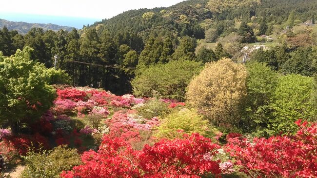 糸島つつじ祭りと花めぐりと優雅なランチ