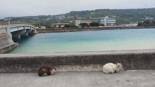 今日は最終日。<br />本日もスッキリしないお天気だけど、<br />飛行機の時間に間に合うように、寄り道しながら帰ります（笑）<br /><br />【今日のルート】<br />（宿）カフーリゾートフチャク　コンド・ホテル　⇒　やちむんの里　⇒<br />（食事）すーまぬめぇ　⇒　（おやつ）ｃａｆｅやぶさち　⇒　那覇空港<br />⇒　中部国際空港<br /><br />【沖縄旅行記】<br />１日目　http://4travel.jp/travelogue/11220948<br />２日目　http://4travel.jp/travelogue/11221886<br />３日目　http://4travel.jp/travelogue/11225701<br />４日目　http://4travel.jp/travelogue/11233849