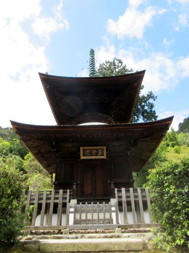 天龍寺・嵐山渡月橋　京都の旅2017