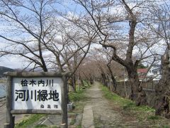 2017 桜旅 1日目 秋田  角館  武家屋敷 桜はまだまだでした