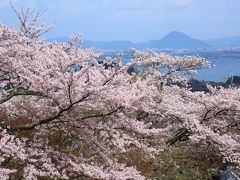 石積みの里　滋賀・坂本を行く