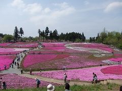 琴平丘陵ハイキング　芝桜を求め