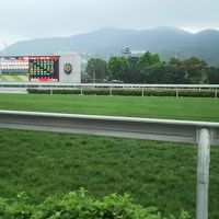 香港・マカオ競馬　2016年チャンピオンズマイルの旅②