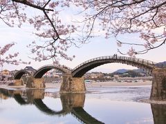 宮島&錦帯橋 羽田から日帰りお花見弾丸ツアー　　 ～桜に彩られた錦帯橋～