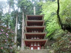 花の室生寺・長谷寺に行って来ました。