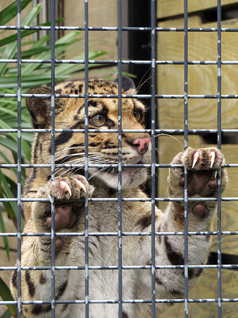 雨上がりの福岡市動植物園　【北九州の旅３日目】