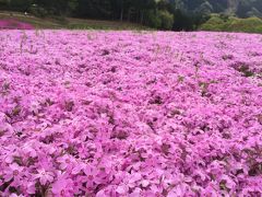 羊山公園から西武秩父駅まで