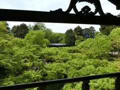 新緑の伏見稲荷大社、東福寺、建仁寺に行って来ました。