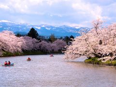 東北の桜前線を訪ねて（北上展勝地・角館・弘前・小岩井一本桜・石割桜）