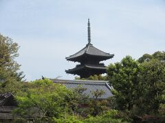 京都の旅2017　仁和寺、龍安寺、妙心寺