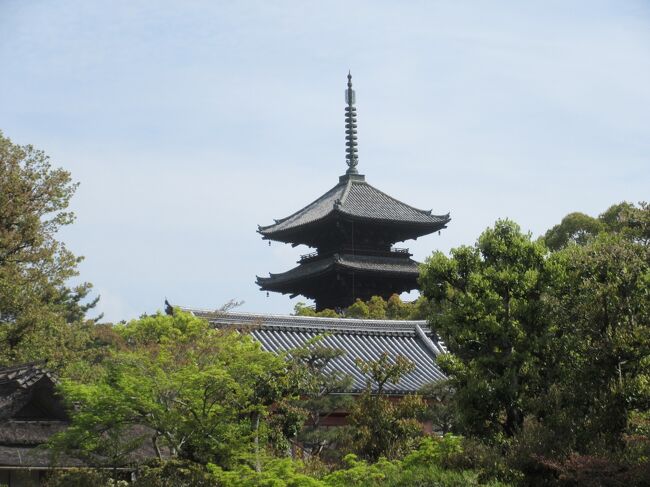 １日目　新京極、錦、先斗町、高瀬川沿いを歩く<br />２日目　鴨川沿い、白川祇園、花見小路、八坂神社、上津屋橋(流れ橋)、石清水八幡宮、伏見城、伏見稲荷を歩く<br />３日目　白川祇園、花見小路、祇園甲部歌舞練場、建仁寺、八坂の塔、二年坂、高台寺、嵐山渡月橋、天竜寺、竹林、常寂光寺、二条城を行く<br />４日目　平安神宮、永観堂禅林時、南禅寺、醍醐寺、再び南禅寺<br />５日目　東福寺、龍安寺、仁和寺、妙心寺、祇園甲部歌舞練場<br />６日目　下鴨神社、神戸<br />７日目　植物園、上賀茂神社<br />