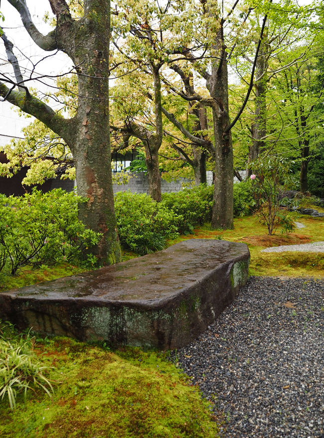 予てから、京都の泉屋懐古館へ行きたいと思っていました。昨日は奈良を歩いたので、少々疲れ気味のため、人の多いところは避けて、住友コレクション・泉屋博古館に決めました。天気予報でも水曜は雨模様と分かっていたので、雨天の準備万端。<br />本来は月曜が休館ですが、準備のため火曜日も休館で、ちょうど水曜日に見ることができました。春雨で、何とも言えない良い雰囲気の中、この泉屋博古館を堪能することができました。通りを挟んだ向かい側にある住友家邸宅には、お蔵が並んでいて、庭園はここと同じ小川治兵衛の作庭ですので、何とか見たいものです。