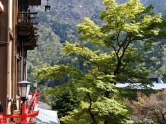 富士屋ホテルで青紅葉を楽しむ（4月29日）