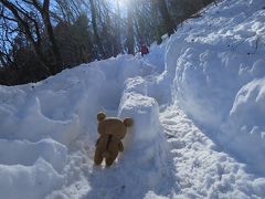 冬の奥多摩　は大岳山に行ってクマす