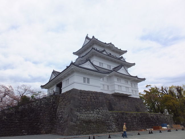 台湾の友人夫妻と日本小旅行⑦小田原編(小田原城/菜々邸 八王子店で一献) 2017/04/17<br /><br />ホテル伊東パウエルで朝食をとり、小田原城を観光します。ホテルからタクシーで伊東駅へ、伊豆急、東海道線で小田原へ、徒歩で小田原城に行きました。<br />小田原城は観光客は多からず、少なからず観光客でした。今回は天守閣には上りませんでした、お城の周辺だけでも十分に楽しめました。