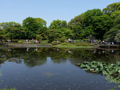 ２０１７　　皇居東御苑　二の丸庭園の春　上