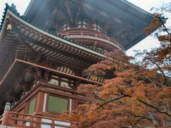 紅葉を見に成田へ行ってきました～！