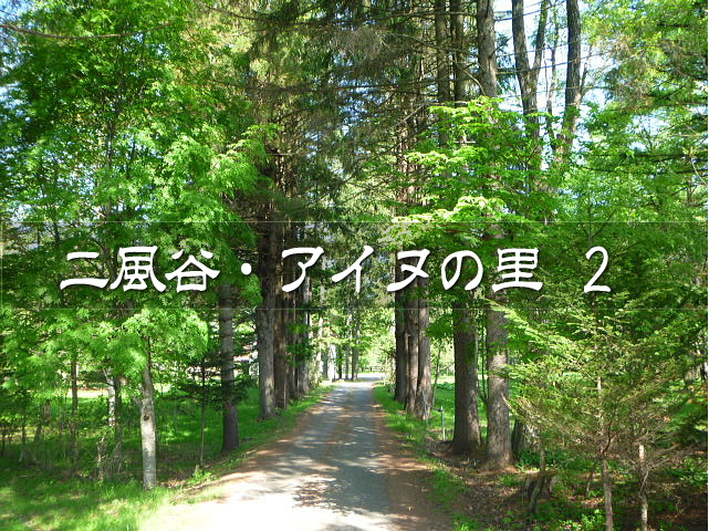 北海道の平取町にある二風谷は400人程度が暮らす集落。<br />住民の半分以上がアイヌという道内屈指のアイヌの里。<br /><br />前回に続き、そぞろ歩きしてみます(*´ω｀*)<br /><br />▽使用機材：Panasonic LUMIX DMC-FP1