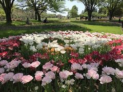 心ときめく春の一日・花の世界昭和記念公園に。