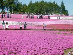 秩父・羊山公園の芝桜と琴平丘陵ウォーク