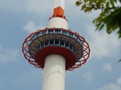 キリシマツツジ満開の長岡天満宮漂流