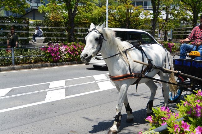 横浜みなとみらいの臨港パークで開催されたメーデーに参加して、そのままみなとみらい散歩をしてきました。<br />久しぶりに、観覧車に乗ってみました。恐怖で下っ腹がザワザワしました。でも楽しかった。<br />