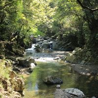 清流と新緑を満喫！春の摂津峡ハイキング