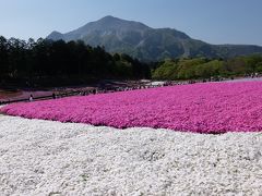 《東京から日帰り》#39　埼玉県　羊山公園・三峯神社・銭神様・長瀞