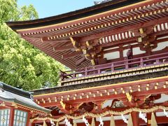 思い立ったら行っておこう～！春の「太宰府天満宮」へ！[太宰府天満宮　やす武　寺田屋　かさの家　フジヤマ55(これはオマケ！)]