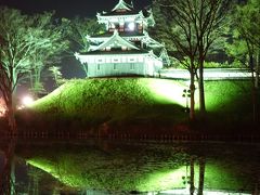 お花見二本立て･･･高田城址の夜桜 VS 臥竜公園の昼桜～☆