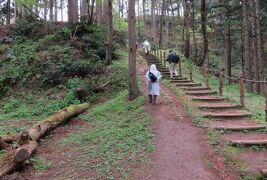 2017春、新潟・福島の名城(2/27)：4月19日(2)：春日山城(2/4)：春日山神社、御屋敷