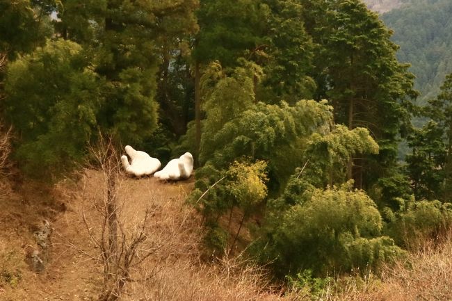 【日帰り登山】伊豆ヶ岳登山　山中に”手”が！