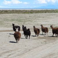 ボリビア　「行った所・見た所」　ウユニ空港からウユニ塩湖に