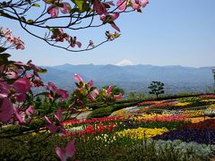 春の山梨、勝沼＆笛吹の花スポット