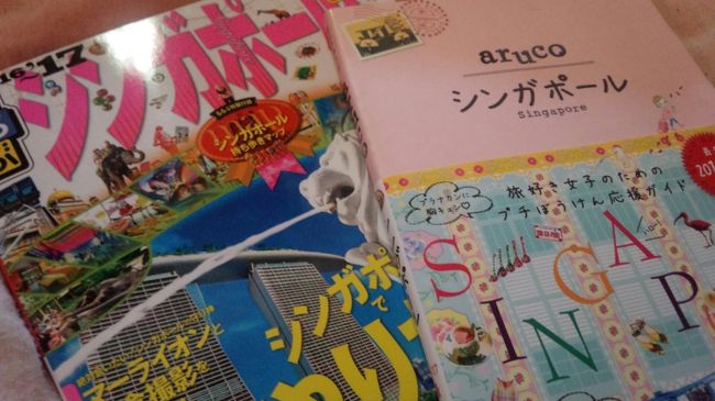 仕事を退職するタイミングでどこかいこう。そうだ、海外もいいなーといろいろ検索していました。友人は休みが取れないだろうなぁと思い、ひとりで行っても比較的安全なところに行こうと調べているときに出てきたのがシンガポールでした。<br />ずっといつかは行きたいと思っていたシンガポール。行くならここなんじゃないかと思い至り、そのままいろいろなサイトやこちらの４トラさんで旅行記を読んで勉強したり質問させていただきました。<br />結果いろいろ小さなことはありましたが、大きなけがやトラブルはなくたのしく旅行することができました！<br />皆さんいろいろアドバイスありがとうございました！<br /><br />自分メモ↓<br /><br />往路　伊丹空港→羽田空港→シンガポール・チャンギ国際空港<br />復路　チャンギ国際空港→羽田空港→伊丹空港<br /><br />すべてJAL　往復￥54480<br />ホテル　フラマシティセンター　3泊（agodaにて）　￥36876