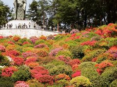 昨年のリベンジで、再度塩船観音寺へ